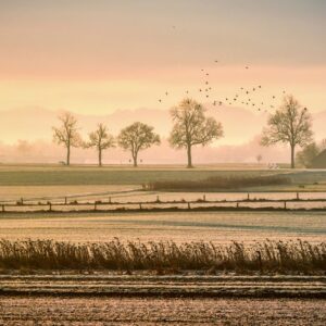Relaxació progressiva de Jacobson