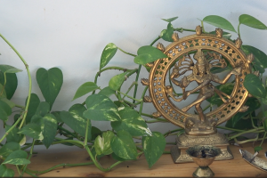 Captura de pantalla (852)