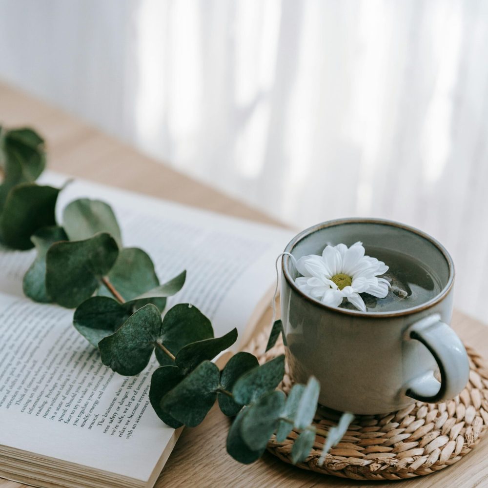 pexels-teona-swift-6913375